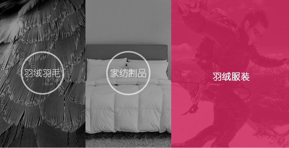 QQ截圖20230207140753.jpg QQ截圖20230207140753.jpg